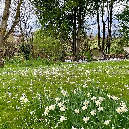 Oda ve Kahvaltı Art Lovers Marmagen