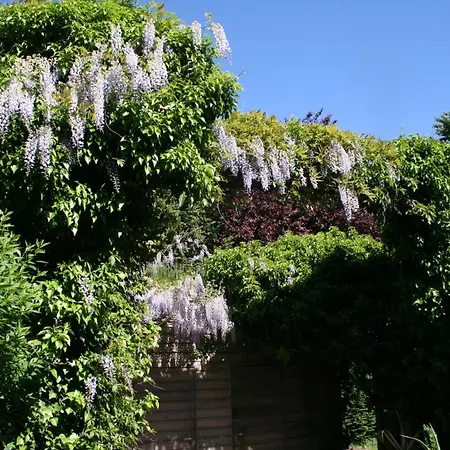 Art Lovers Oda ve Kahvaltı