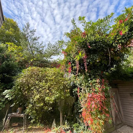 Art Lovers 3* Marmagen