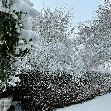 Oda ve Kahvaltı Art Lovers Marmagen