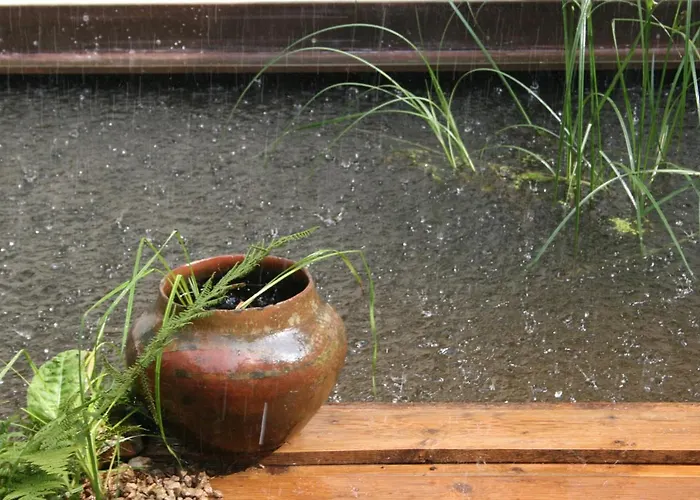 לינה וארוחת בוקר Art Lovers 3*