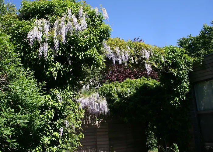 Art Lovers Bed & Breakfast