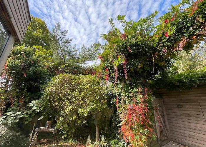 Art Lovers 3* Marmagen