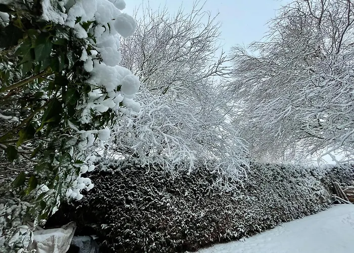 Bed & Breakfast Art Lovers Marmagen