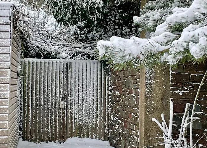 Art Lovers Bed & Breakfast