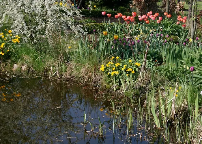 Art Lovers Bed & Breakfast Marmagen